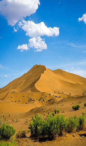 風(fēng)景區(qū)林場(chǎng)海島草原戈壁沙漠港口碼頭無(wú)線(xiàn)對(duì)講系統(tǒng)解決方案